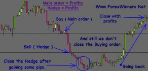 Hedge คืออะไร forex Hedge คืออะไร forex